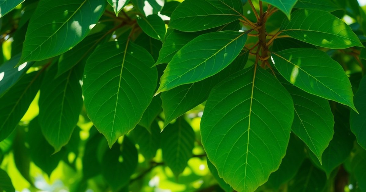 Proposed Mechanisms: Why Might Moringa Affect Glucose? - MoringaHub