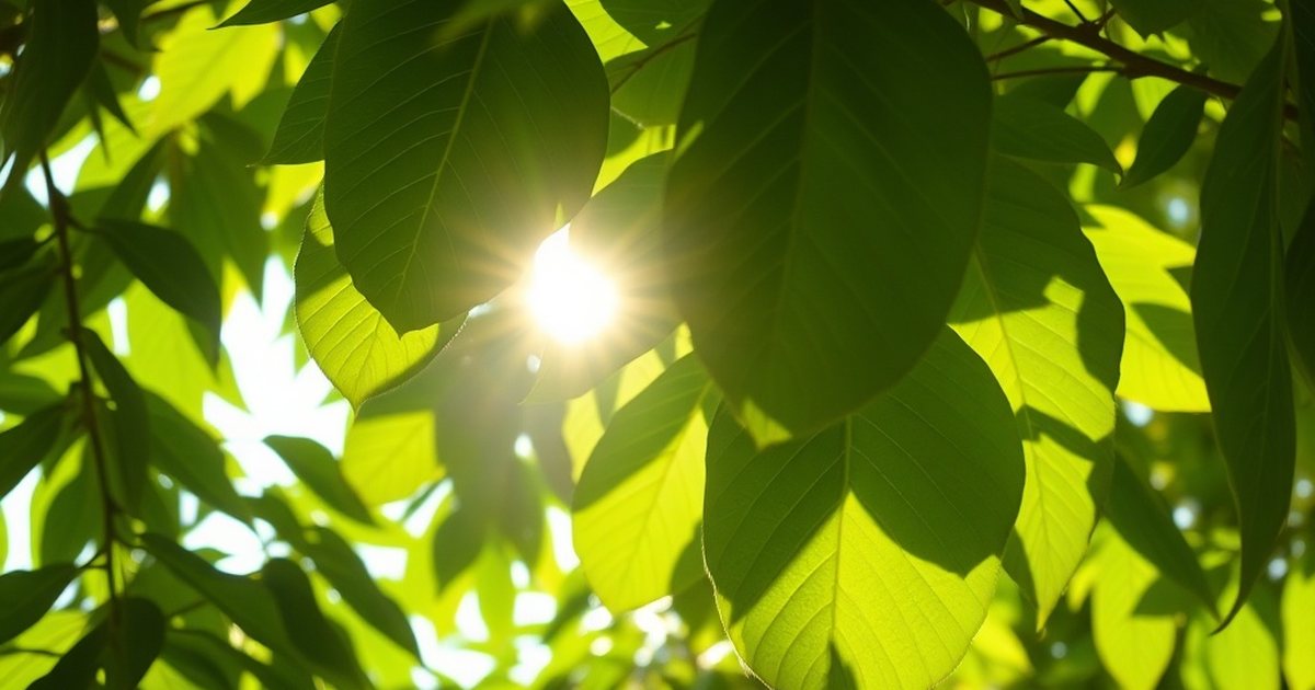 Moringa and Anemia in Young Children - MoringaHub