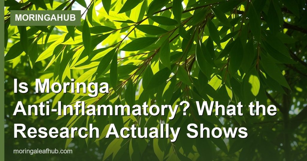 Is Moringa Anti-Inflammatory? What the Research Actually Shows - MoringaHub