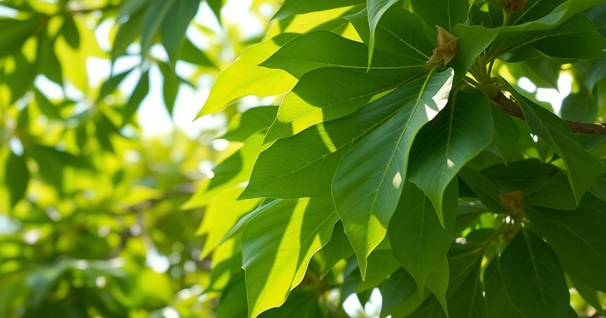 Anti-Inflammatory and Oxidative Stress Modulation in Disease Models - MoringaHub