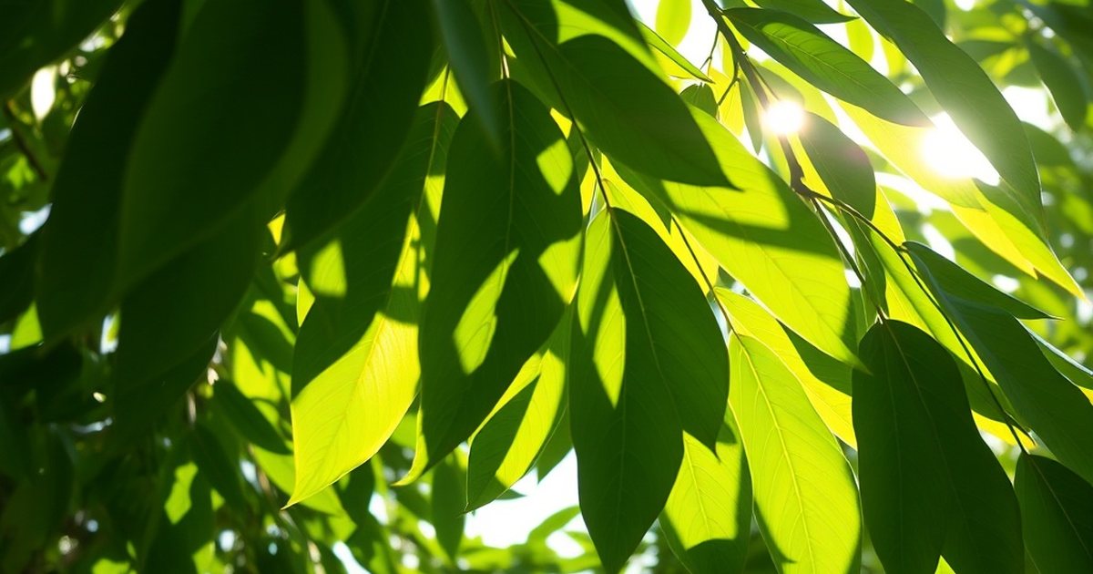 Safety Context Relevant to Antioxidant Use - MoringaHub
