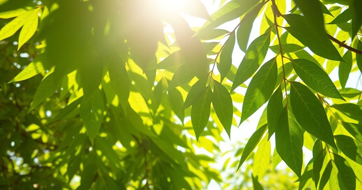 Vicenin-2: An Isolated Moringa Compound in an Osteoporosis Model - MoringaHub