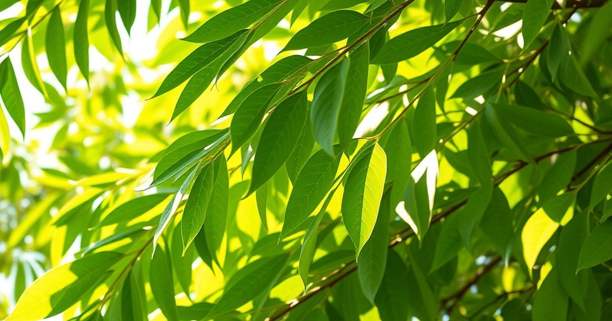 Macronutrient and Micronutrient Profile - MoringaHub
