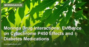 Moringa Drug Interactions: Evidence on Cytochrome P450 Effects and Diabetes Medications
