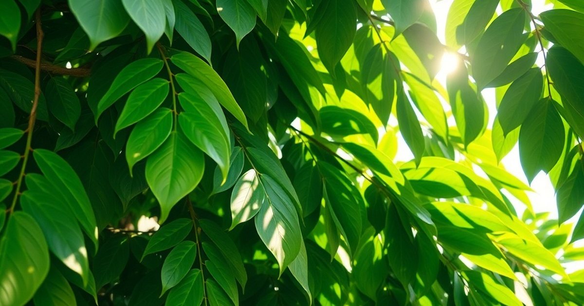 Animal Research on Moringa Root Extract and Uterine Histoarchitecture - MoringaHub