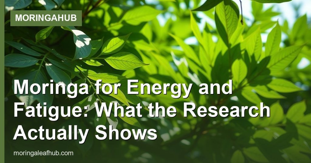 Moringa for Energy and Fatigue: What the Research Actually Shows - MoringaHub
