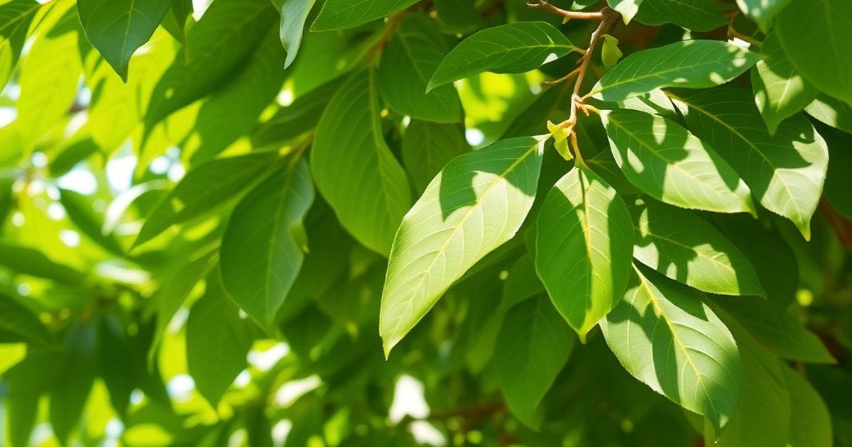 Animal Studies: Moringa Against Specific Toxic Exposures - MoringaHub