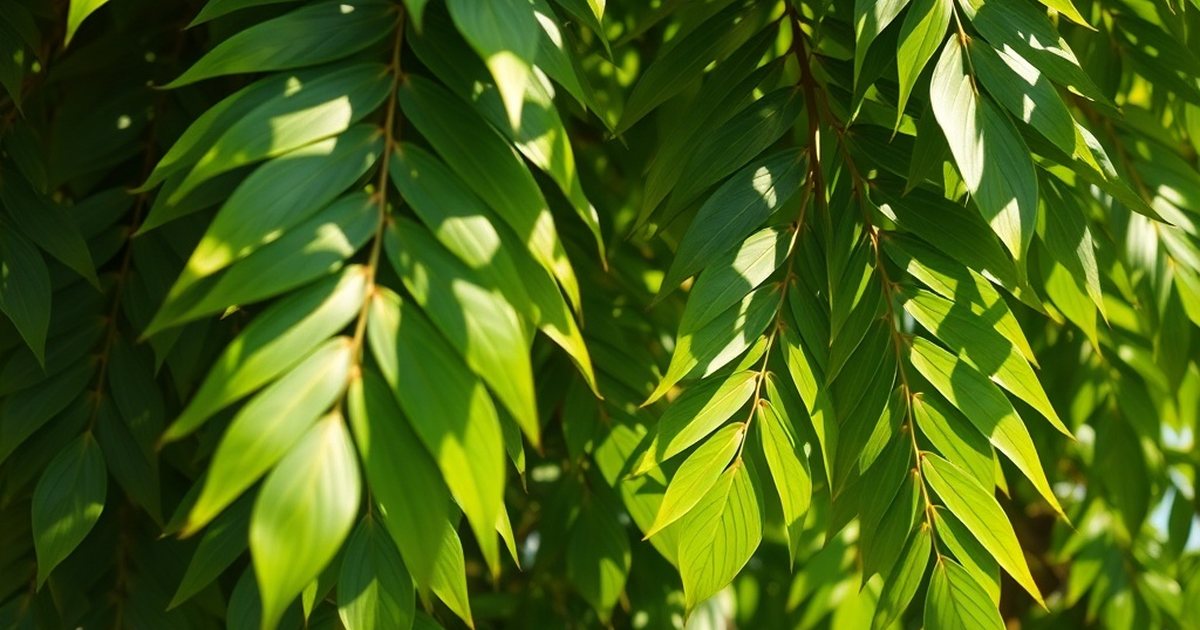 Why Growing Conditions Alter the Nutrient Profile You Expect - MoringaHub