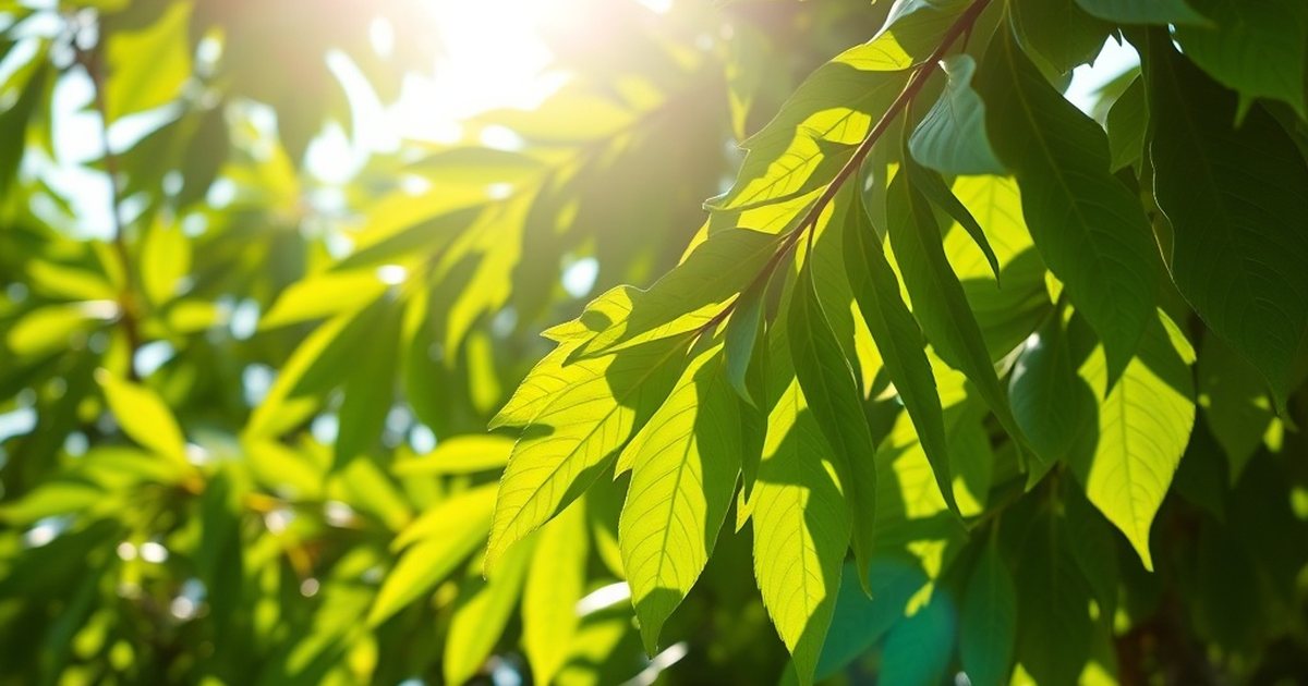 Moringa in Combination Products - MoringaHub