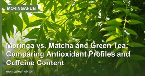 Moringa vs. Matcha and Green Tea: Comparing Antioxidant Profiles and Caffeine Content