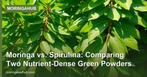 Moringa vs. Spirulina: Comparing Two Nutrient-Dense Green Powders